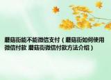蘑菇街能不能微信支付（蘑菇街如何使用微信付款 蘑菇街微信付款方法介紹）