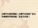 小鵬汽車宣傳海報(bào)（小鵬汽車回應(yīng)廣告公開侮辱科學(xué)家傳聞：非官方內(nèi)容）