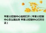 蘋果12控制中心如何打開（蘋果12控制中心怎么調(diào)出來 蘋果12控制中心打開方法）