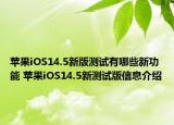 蘋(píng)果iOS14.5新版測(cè)試有哪些新功能 蘋(píng)果iOS14.5新測(cè)試版信息介紹