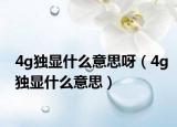 4g獨(dú)顯什么意思呀（4g獨(dú)顯什么意思）