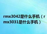 rmx3042是什么手機(jī)（rmx3031是什么手機(jī)）