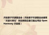 開放原子開源基金會（開放原子開源基金會接受“開源大師兄”項目捐贈后者已推出鴻蒙 OpenHarmony 開發(fā)板）