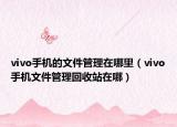 vivo手機(jī)的文件管理在哪里（vivo手機(jī)文件管理回收站在哪）