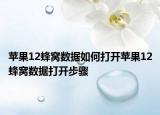 蘋果12蜂窩數據如何打開蘋果12蜂窩數據打開步驟