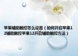 蘋果輔助觸控怎么設(shè)置（如何開啟蘋果12輔助觸控蘋果12開啟輔助觸控方法）