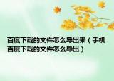 百度下載的文件怎么導出來（手機百度下載的文件怎么導出）