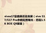 vivos17是曲屏還是直屏（vivo S17/S17 Pro參數(shù)配置曝光：搭載1.5K BOE Q9屏幕）