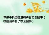 蘋果手機(jī)微信沒有聲音怎么回事（微信沒聲音了怎么回事）