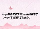 oppo手機(jī)死機(jī)了怎么辦關(guān)機(jī)關(guān)不了（oppo手機(jī)死機(jī)了怎么辦）