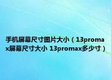 手機(jī)屏幕尺寸圖片大?。?3promax屏幕尺寸大小 13promax多少寸）