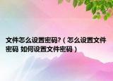 文件怎么設置密碼?（怎么設置文件密碼 如何設置文件密碼）