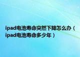 ipad電池壽命突然下降怎么辦（ipad電池壽命多少年）