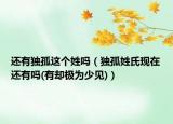 還有獨(dú)孤這個(gè)姓嗎（獨(dú)孤姓氏現(xiàn)在還有嗎(有卻極為少見(jiàn))）