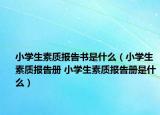 小學生素質報告書是什么（小學生素質報告冊 小學生素質報告冊是什么）