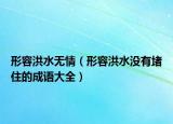 形容洪水無情（形容洪水沒有堵住的成語大全）