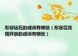 形容鉆石的成語有哪些（形容花競相開放的成語有哪些）