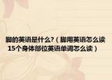 腳的英語是什么?（腳用英語怎么讀 15個身體部位英語單詞怎么讀）