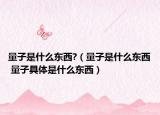 量子是什么東西?（量子是什么東西 量子具體是什么東西）