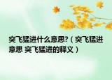 突飛猛進(jìn)什么意思?（突飛猛進(jìn)意思 突飛猛進(jìn)的釋義）
