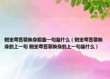 側(cè)坐莓苔草映身前面一句是什么（側(cè)坐莓苔草映身的上一句 側(cè)坐莓苔草映身的上一句是什么）