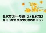 魚躍龍門下一句是什么（魚躍龍門是什么意思 魚躍龍門意思是什么）