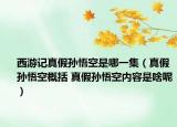 西游記真假孫悟空是哪一集（真假孫悟空概括 真假孫悟空內(nèi)容是啥呢）