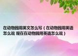 在動物園用英文怎么寫（在動物園用英語怎么說 現(xiàn)在在動物園用英語怎么說）