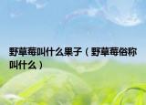 野草莓叫什么果子（野草莓俗稱叫什么）