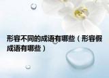 形容不同的成語有哪些（形容假成語有哪些）