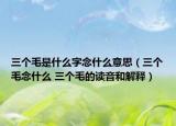 三個(gè)毛是什么字念什么意思（三個(gè)毛念什么 三個(gè)毛的讀音和解釋）