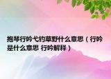 抱琴行吟弋釣草野什么意思（行吟是什么意思 行吟解釋）