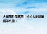 大樹圖片簡筆畫（松柏大樹簡筆畫怎么畫）