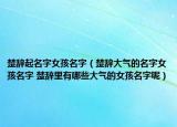 楚辭起名字女孩名字（楚辭大氣的名字女孩名字 楚辭里有哪些大氣的女孩名字呢）