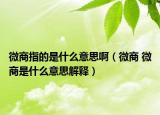 微商指的是什么意思?。ㄎ⑸?微商是什么意思解釋）