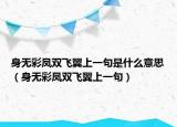 身無彩鳳雙飛翼上一句是什么意思（身無彩鳳雙飛翼上一句）