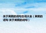 關(guān)于黃鸝的詩句古詩大全（黃鸝的詩句 關(guān)于黃鸝的詩句）