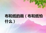 布和紙的畫（布和紙怕什么）