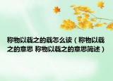 稱物以載之的載怎么讀（稱物以載之的意思 稱物以載之的意思簡述）
