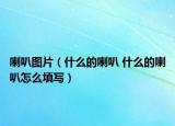 喇叭圖片（什么的喇叭 什么的喇叭怎么填寫）