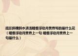疏影斜橫斜水清淺暗香浮動(dòng)月黃昏寫的是什么花（暗香浮動(dòng)月黃昏上一句 暗香浮動(dòng)月黃昏上一句是什么）