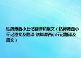 鈷鉧潭西小丘記翻譯和原文（鈷鉧潭西小丘記原文及翻譯 鈷鉧潭西小丘記翻譯及原文）