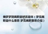 做夢(mèng)夢(mèng)到離職是好還是壞（夢(mèng)見離職是什么意思 夢(mèng)見離職意思介紹）