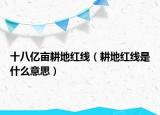 十八億畝耕地紅線（耕地紅線是什么意思）