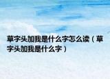 草字頭加我是什么字怎么讀（草字頭加我是什么字）