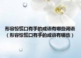 形容驚慌口有手的成語有哪些詞語（形容驚慌口有手的成語有哪些）