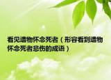看見遺物懷念死者（形容看到遺物懷念死者悲傷的成語）