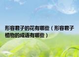 形容君子的花有哪些（形容君子植物的成語有哪些）