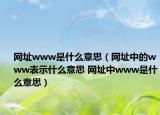 網(wǎng)址www是什么意思（網(wǎng)址中的www表示什么意思 網(wǎng)址中www是什么意思）