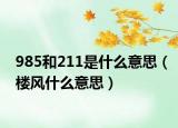985和211是什么意思（樓風什么意思）
